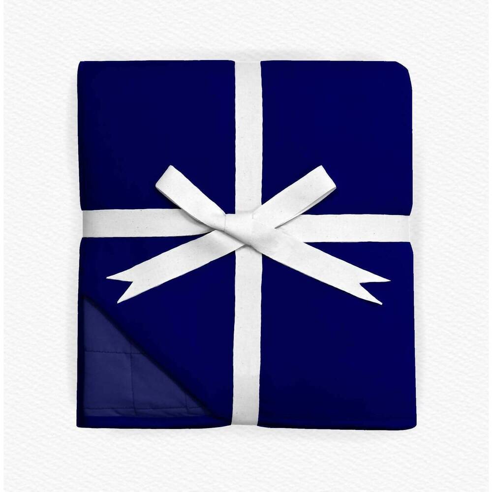 NEW CHARLIES PROJECT kids blueberry quilted blanket in blue